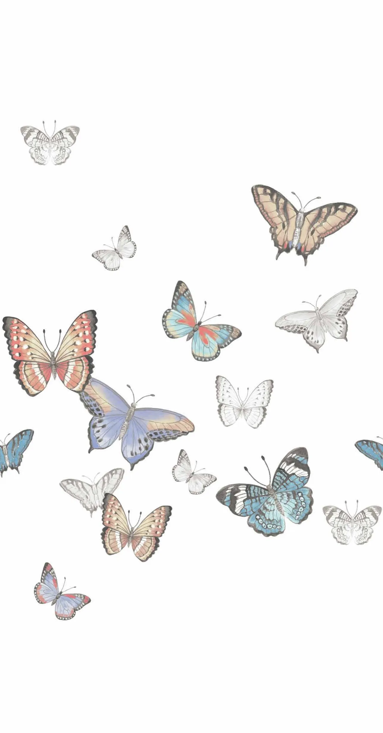 Butterflies - Printed Guest Towel