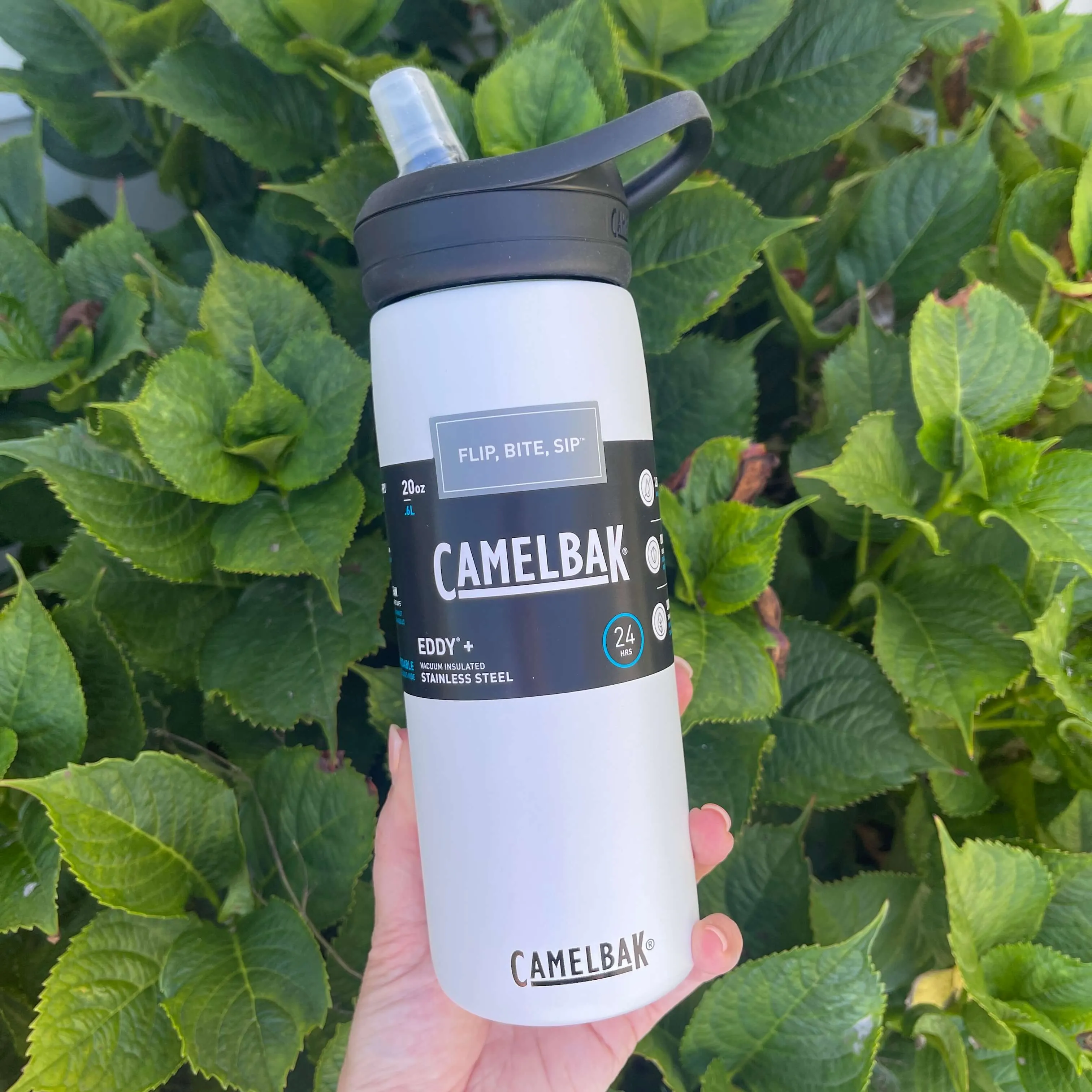 Camelbak Stainless Steel Eddy  Drink Bottle - White .6L