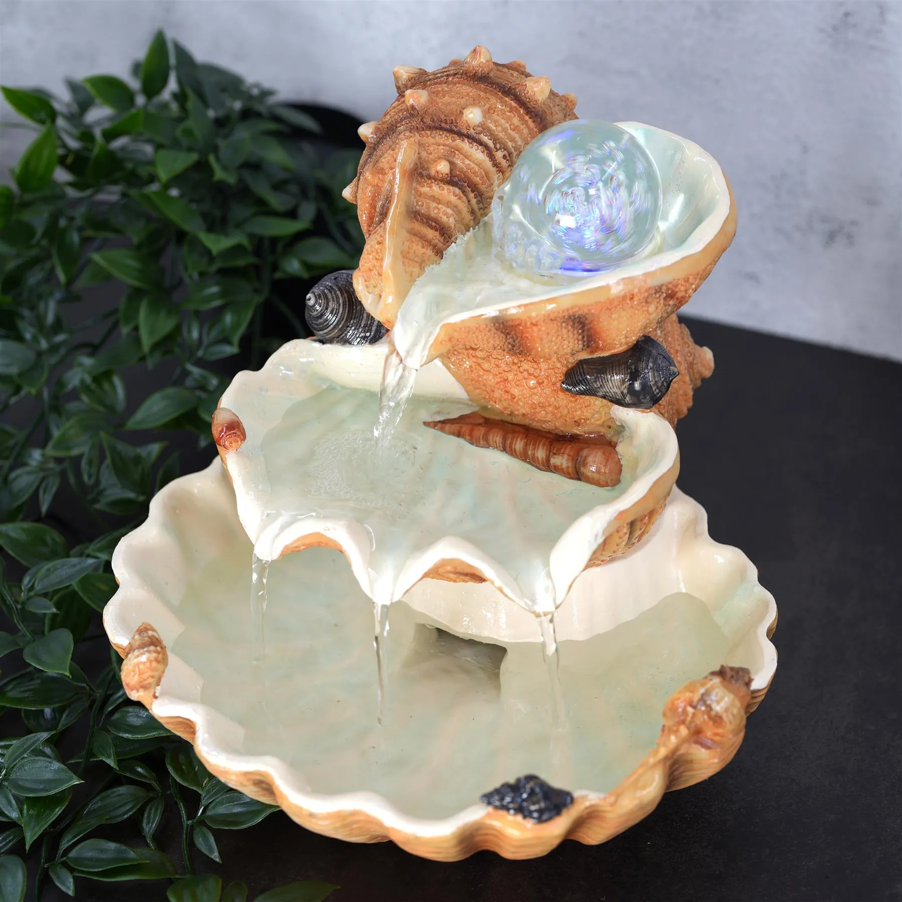 Clam Shell Water Feature Indoor With LED