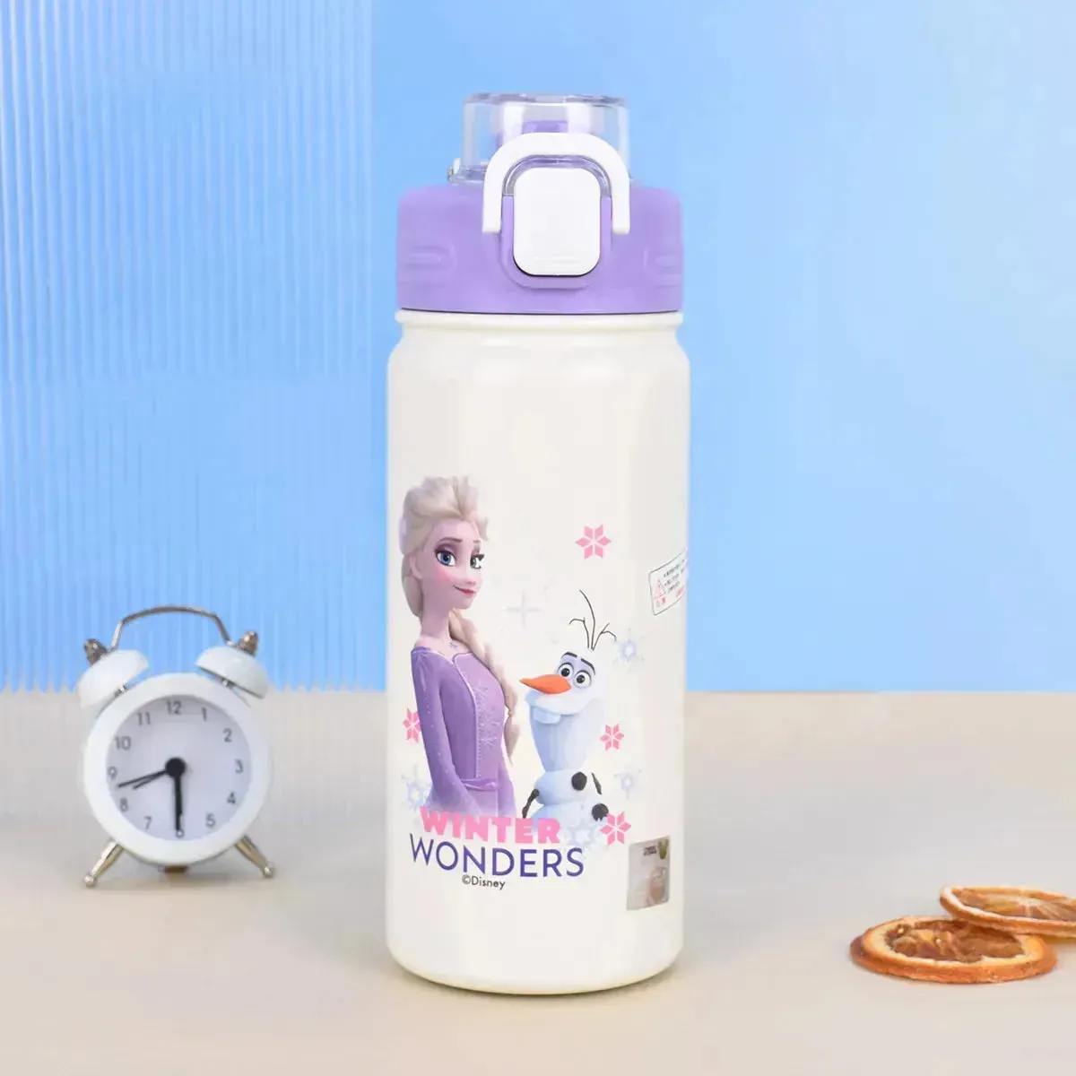 Disney Magical Character Water Bottles (500 ml)