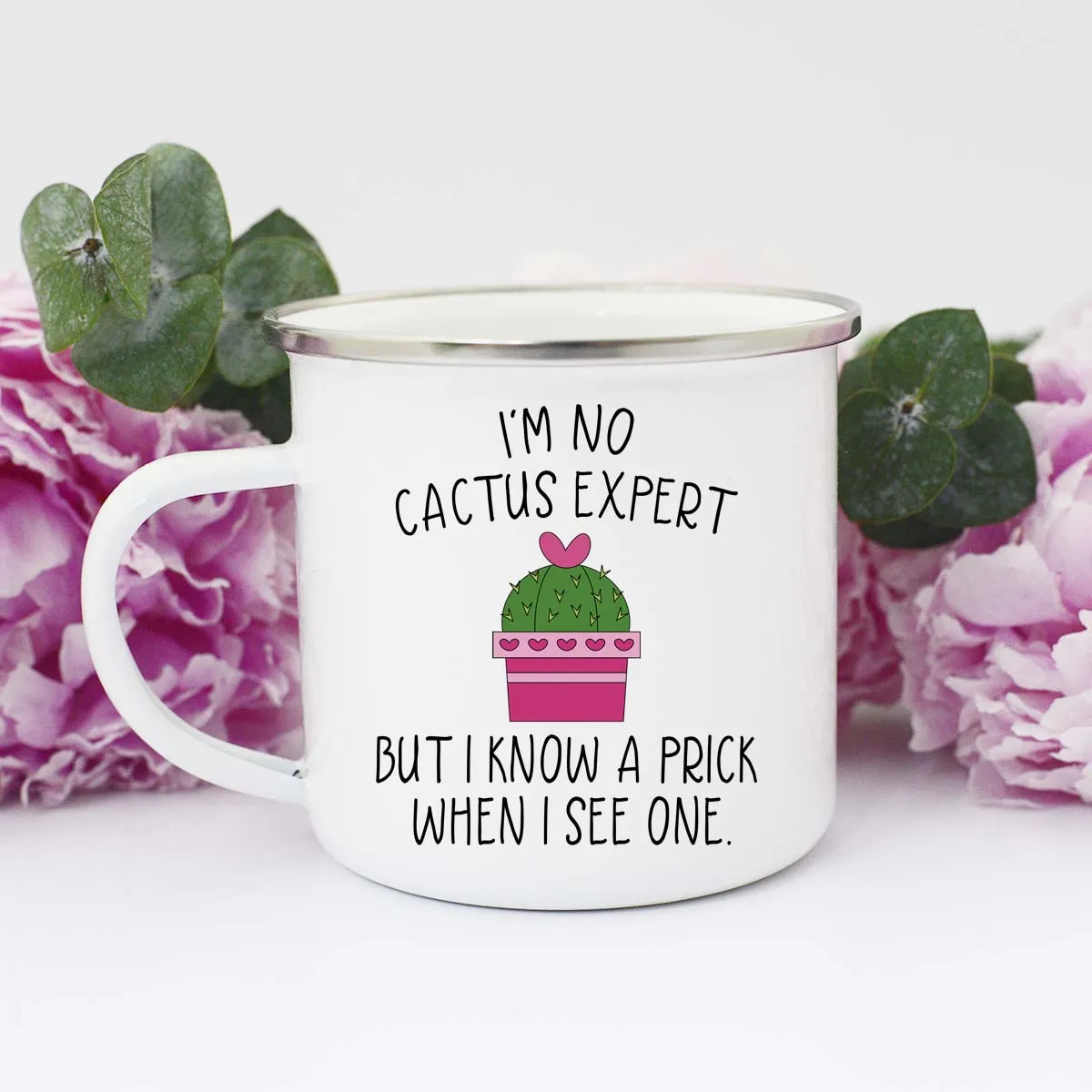 I'm No Cactus Expert But I know a Prick when I see one Cactus Mug, Valentine's Mug, Cactus Pun Mug