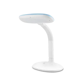 Oval LED Desk Lamp for Study Table