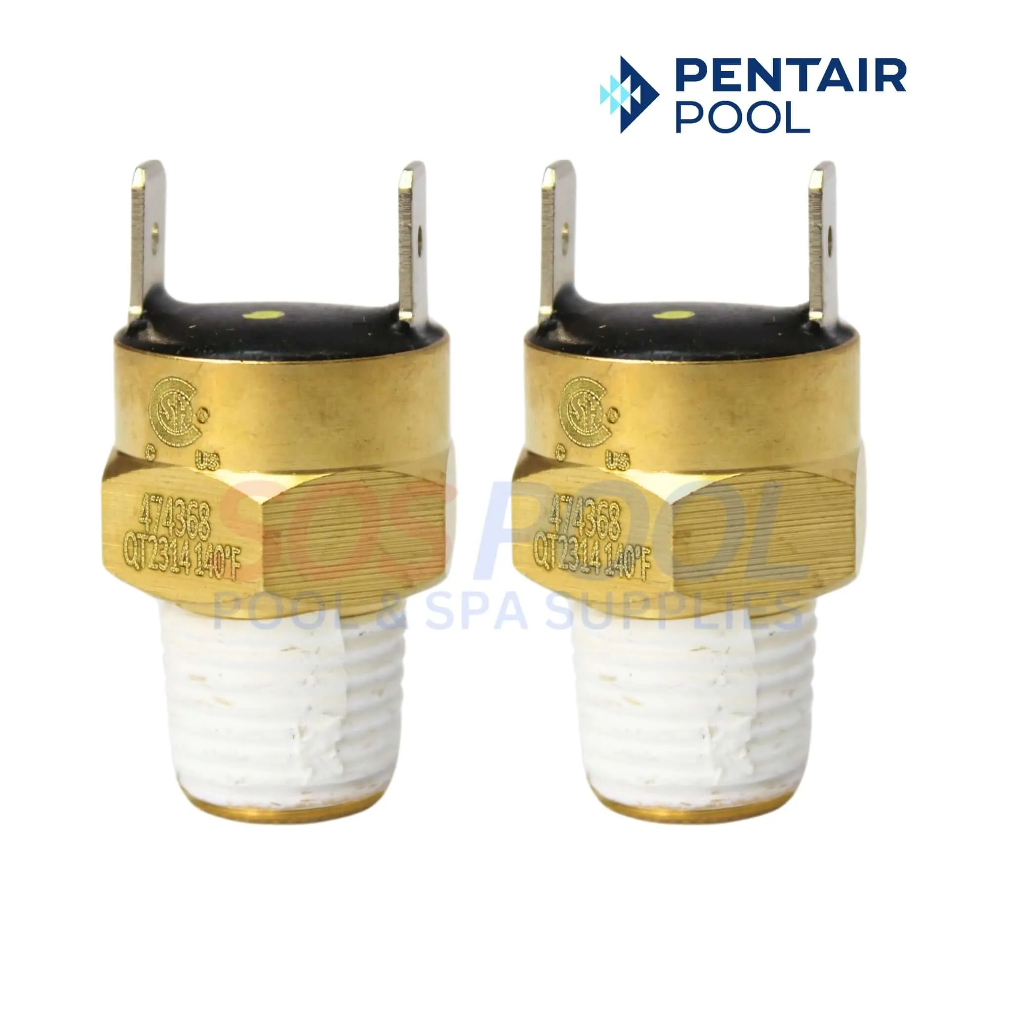 Pentair Repair Kit For MasterTemp and Max-E-Therms Electrical Systems | 461101