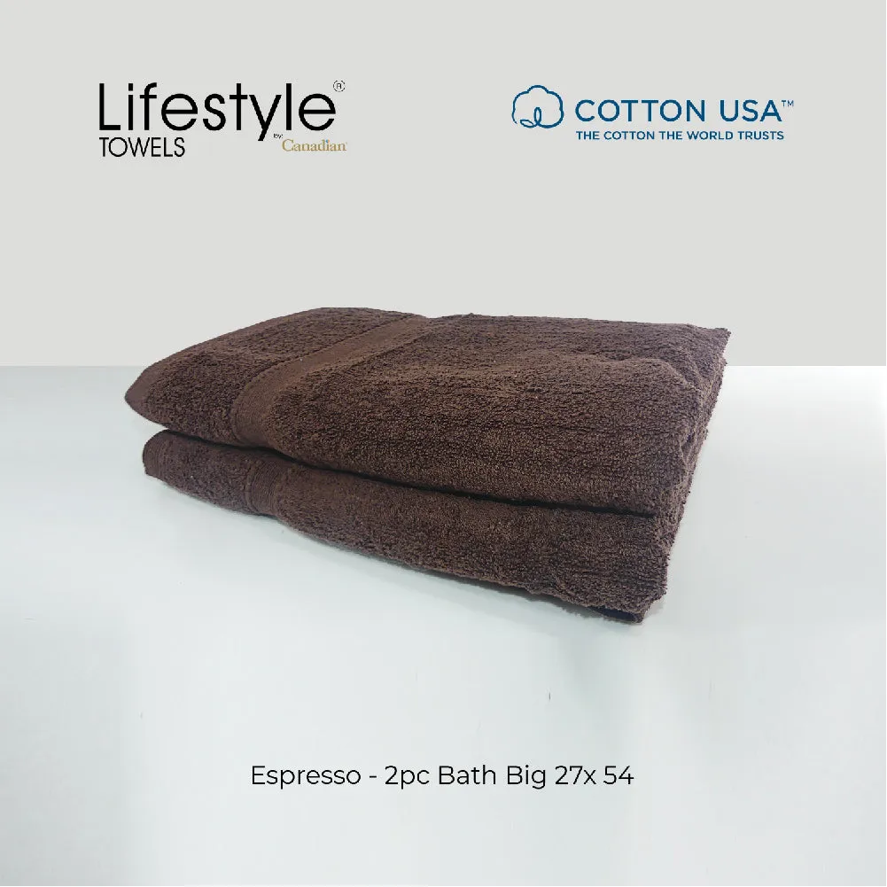 USA COTTON SUPER ABSORBENT TOWEL  2PC. BATH TOWEL SET ( 1111 )