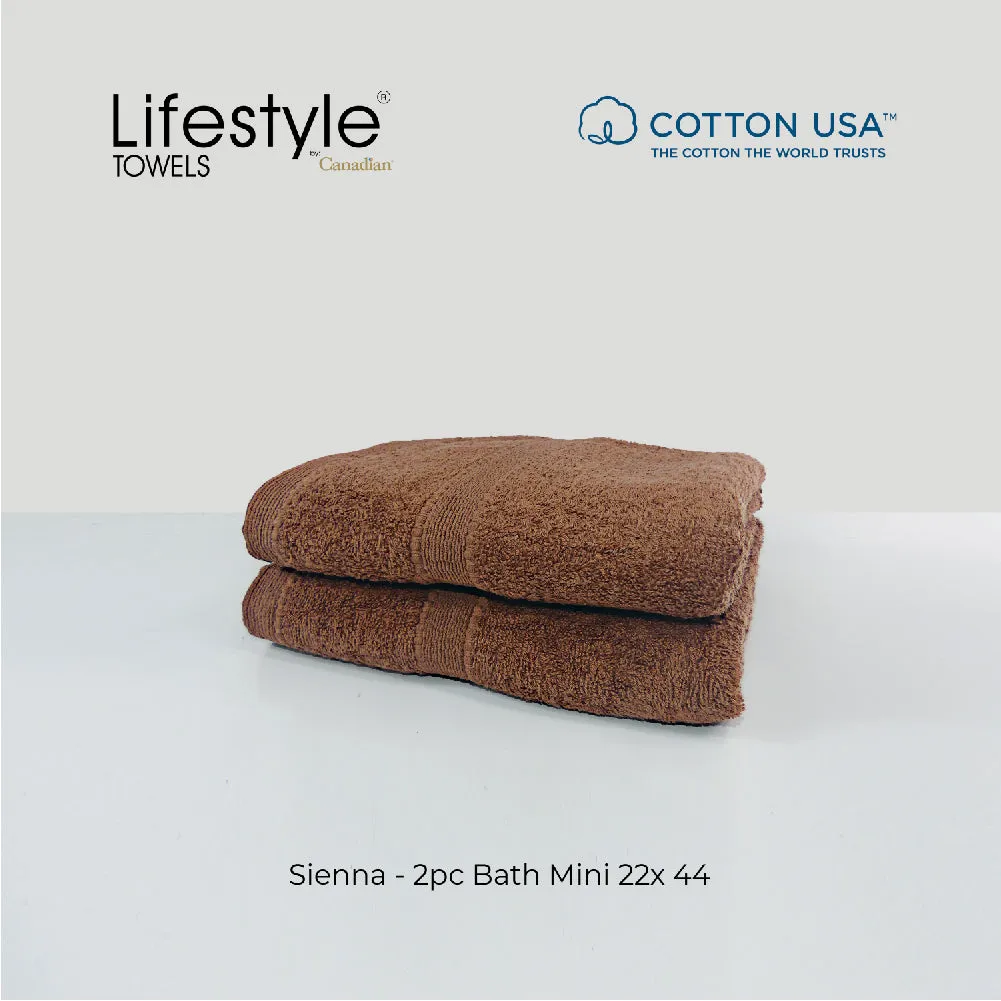 USA COTTON SUPER ABSORBENT TOWEL  2PC. BATH TOWEL SET ( 1111 )