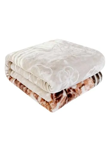 WINSTON HOME Cloudy Super Soft Fabric Floral Printed Heavyduty Luxury Ultra 2 Ply Double Blanket for Winters with English Colors & Stylish Bag Packing (Pack of 1) (P-2)